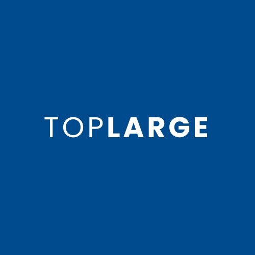 TopLarge - Enterprise Web Development Solutions